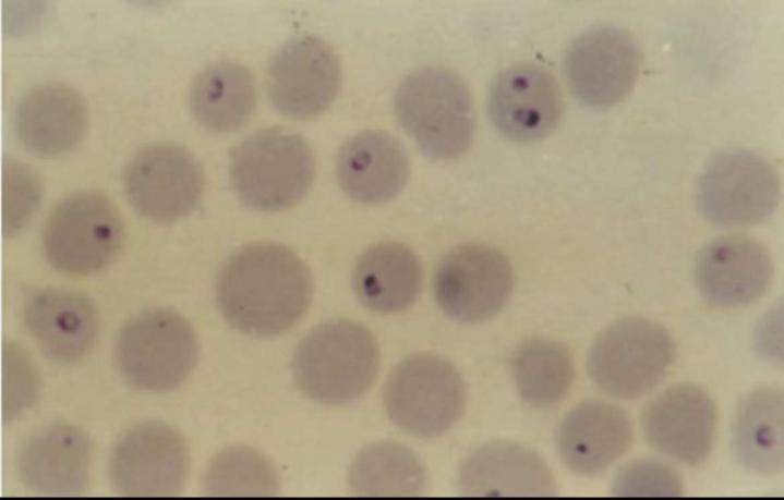 1765163240873519.jpeg 2022x9CtUs2Z991659433253.jpeg