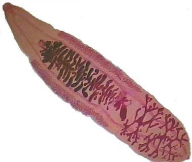 1765183317372184.jpeg 202451QUxsfh4e1707922231.jpeg