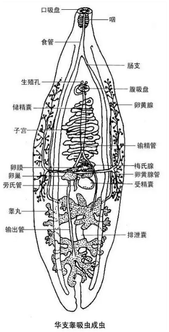 1765183750146896.png QQ_1765183744023.png